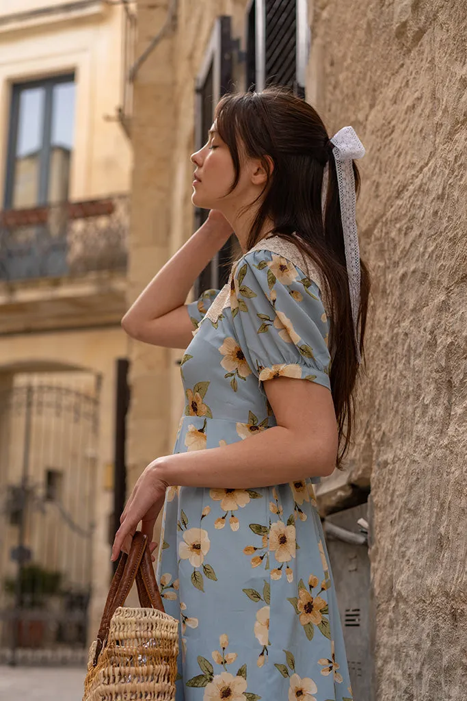 Guell Lace Dress