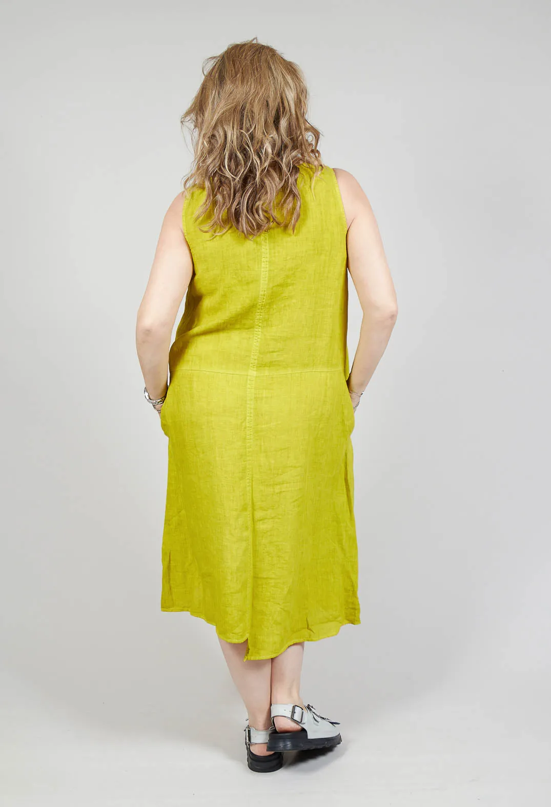 Kiwi Nosy Dress