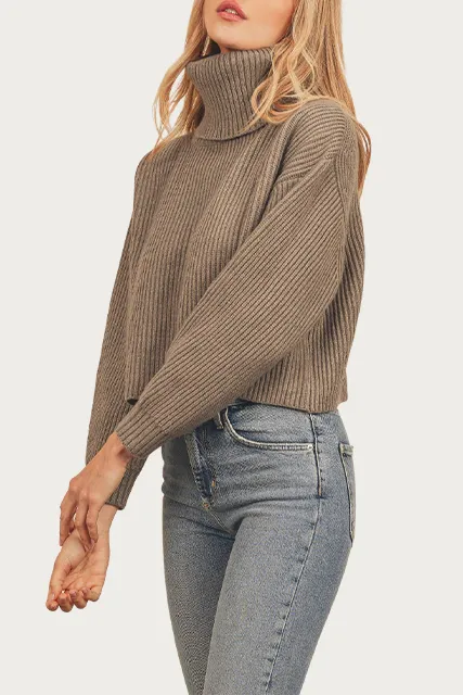 Ribbed Crop Turtleneck Sweater